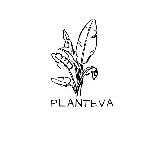 Planteva